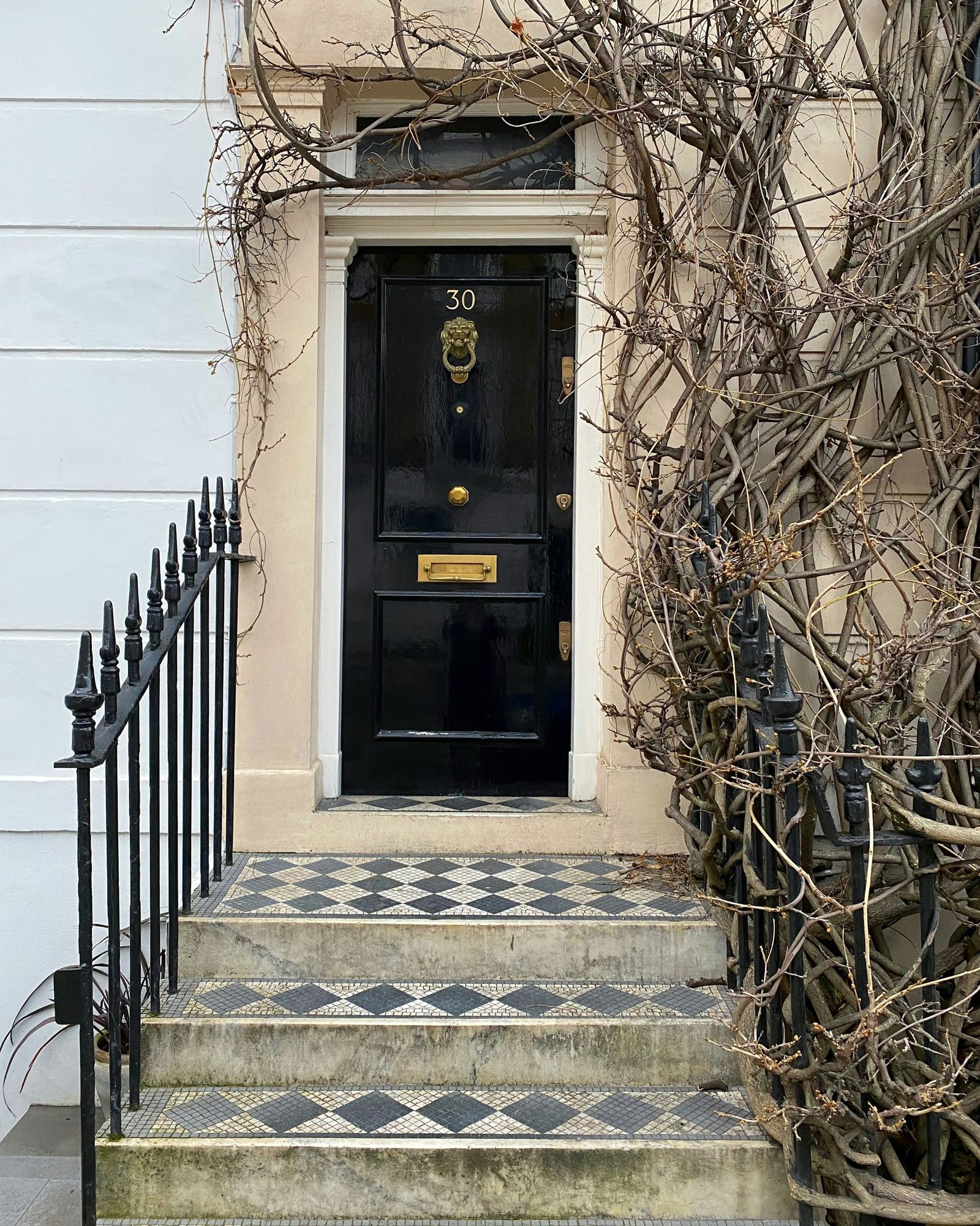 A black front door with a brass letter plate and iron railings