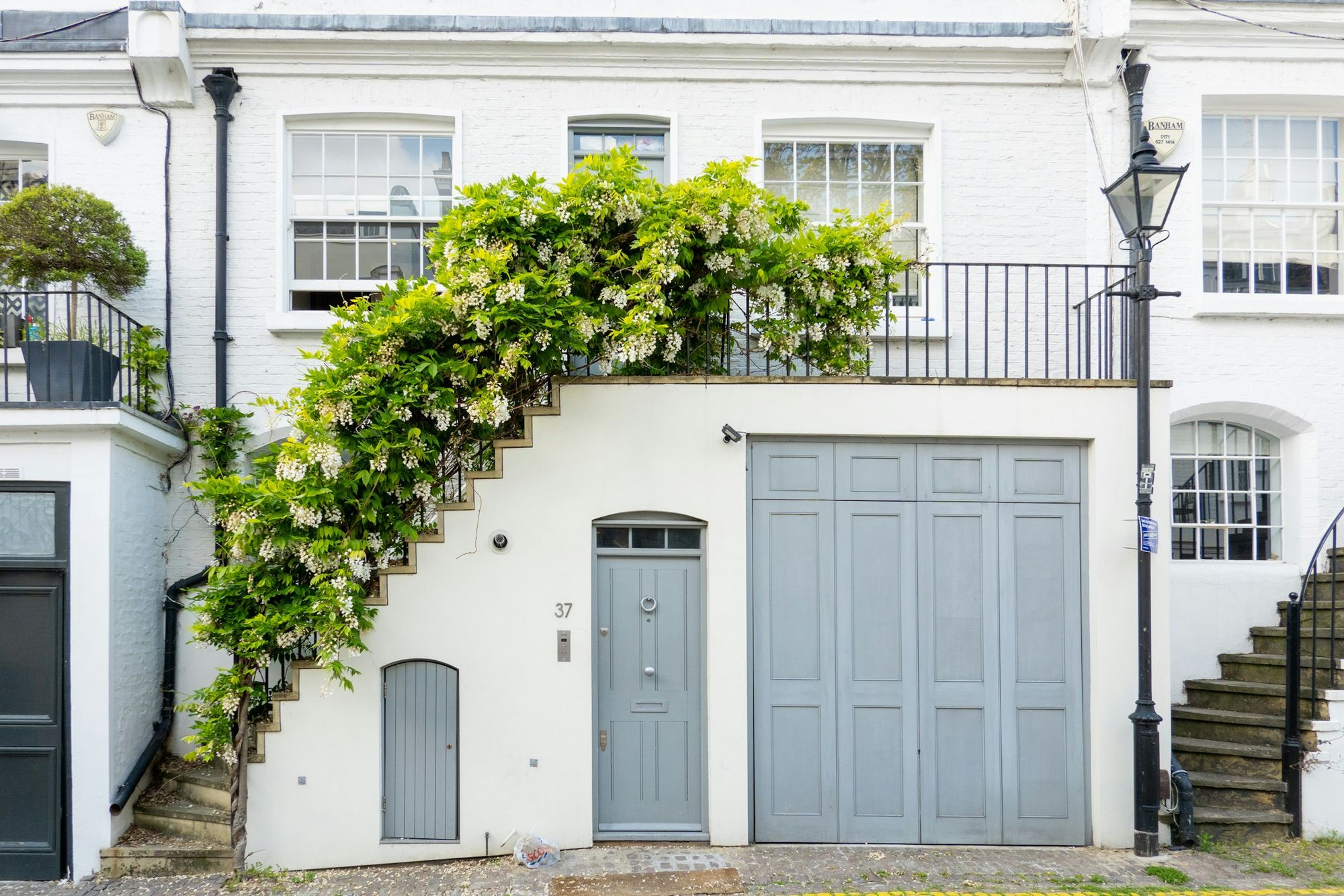 A white mews house with wisteria over the door